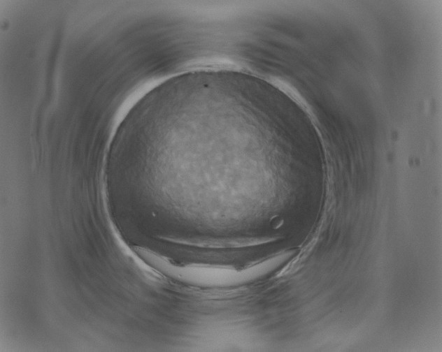 X0000070361440200606231611