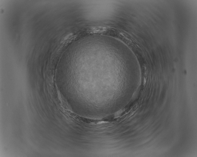 X0000070361441200606231610