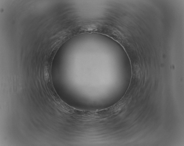 X0000070361442200606231610