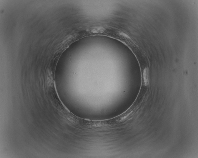 X0000070361443200606231610