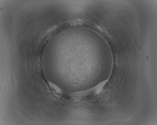 X0000070361445200606231610