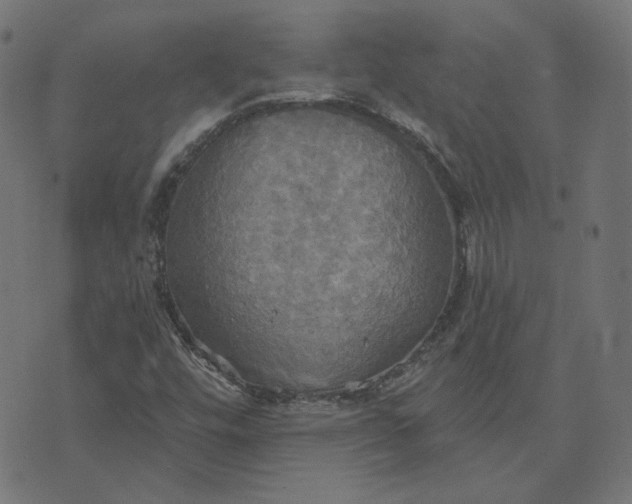 X0000070361448200606231610