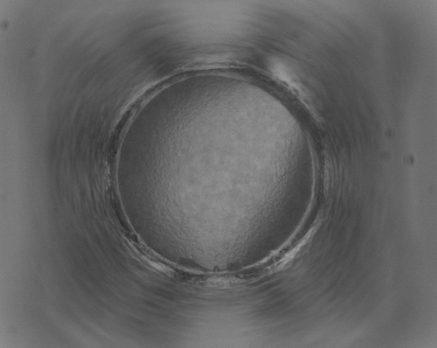 X0000070361449200606231610