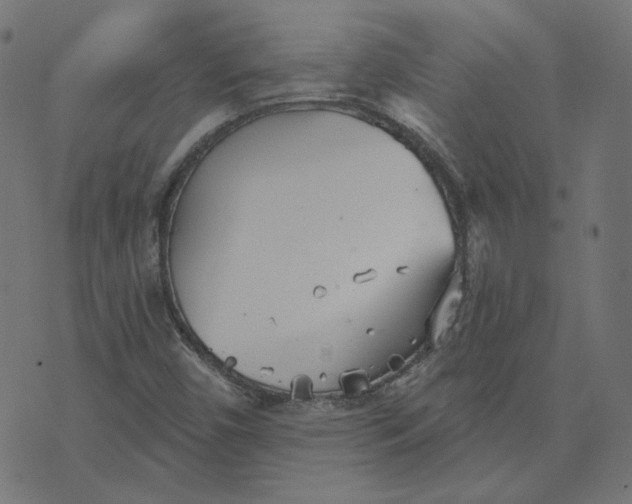 X0000070361450200606231610