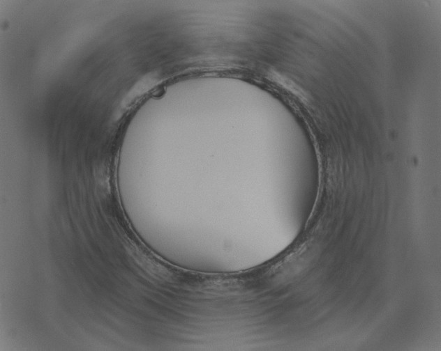 X0000070361451200606231610