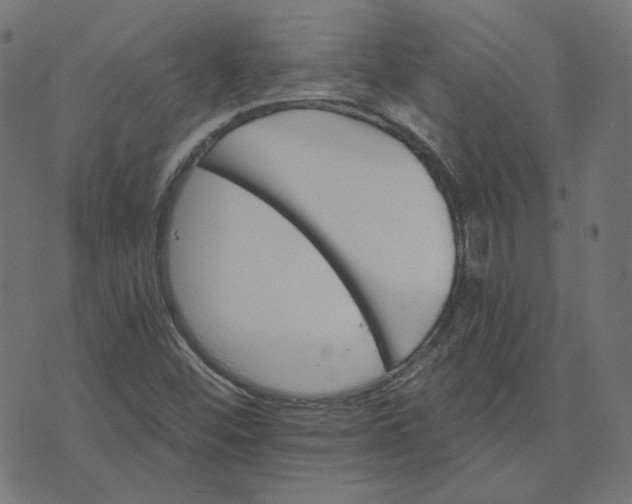 X0000070361452200606231610