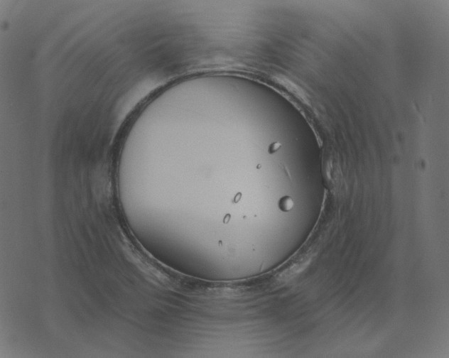 X0000070361458200606231610