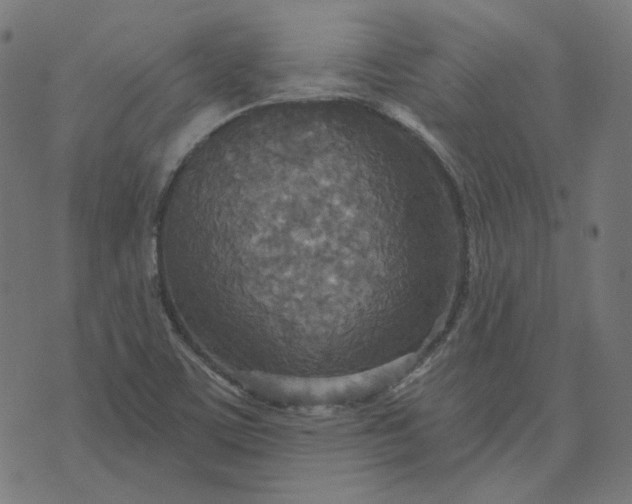 X0000070361459200606231610