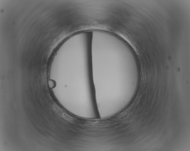 X0000070361460200606231610