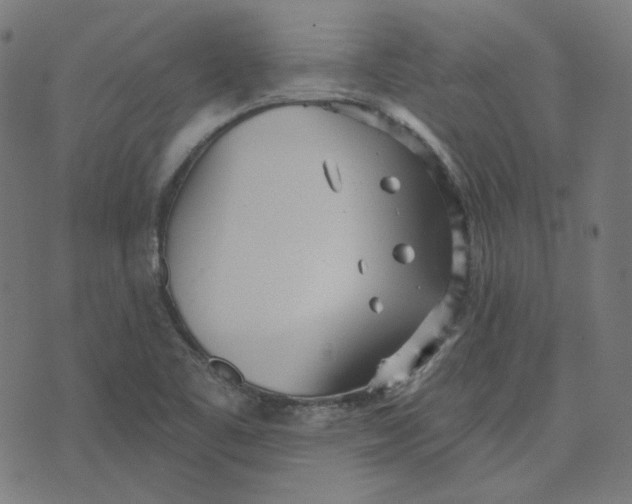 X0000070361461200606231610