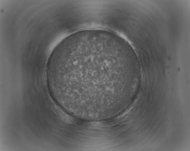 X0000070361463200606231610