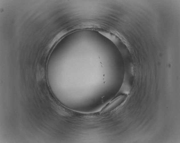 X0000070361465200606231610