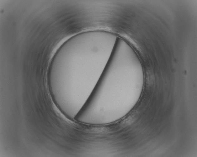 X0000070361468200606231610