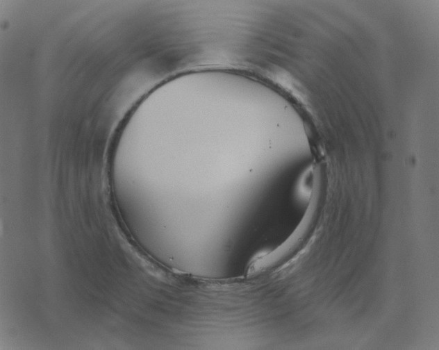 X0000070361469200606231610