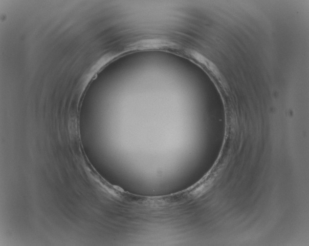 X0000070361473200606231610