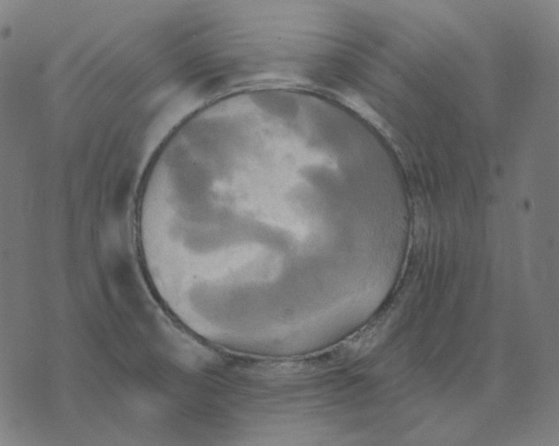 X0000070361474200606231610