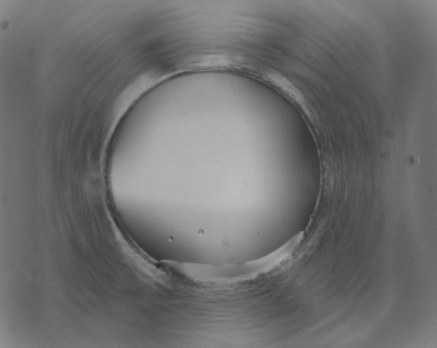 X0000070361475200606231610