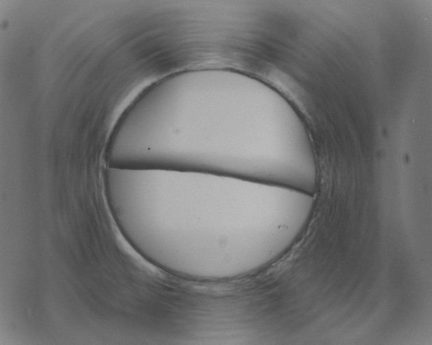 X0000070361476200606231610