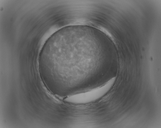 X0000070361480200606231610