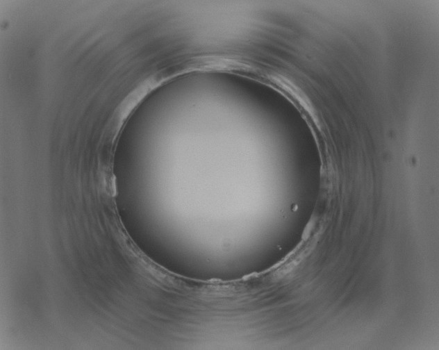 X0000070361481200606231610