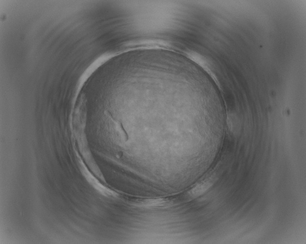 X0000070361482200606231610