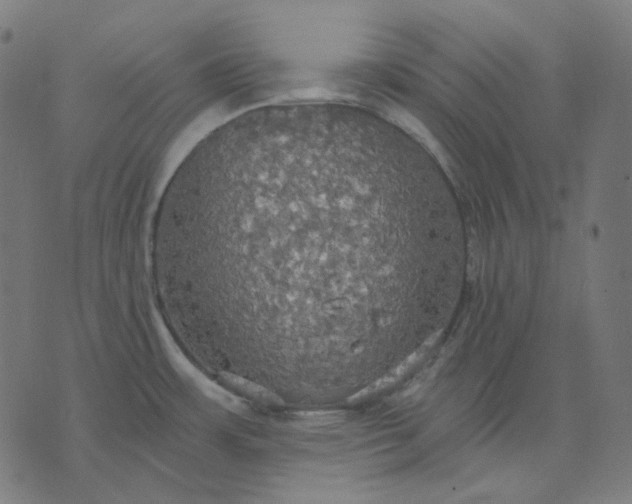 X0000070361483200606231610