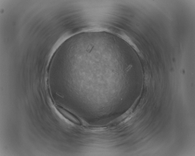 X0000070361484200606231610