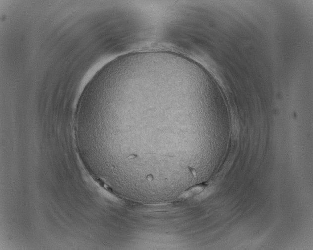 X0000070361486200606231610