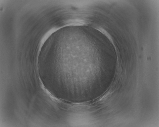 X0000070361488200606231610