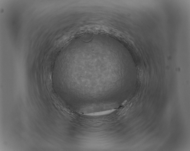 X0000070361489200606231609