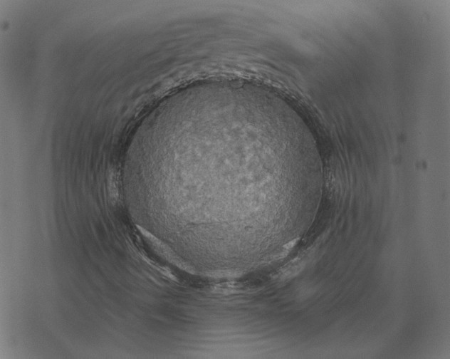 X0000070361490200606231609