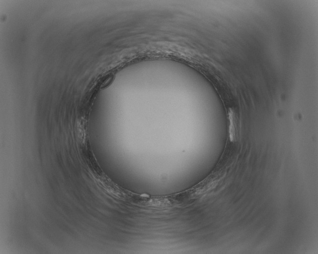 X0000070361491200606231609