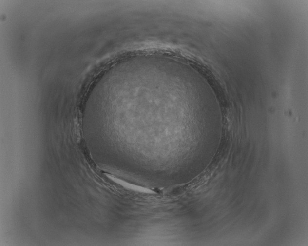 X0000070361493200606231609