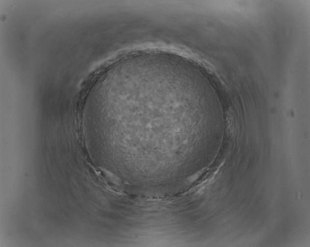 X0000070361494200606231609