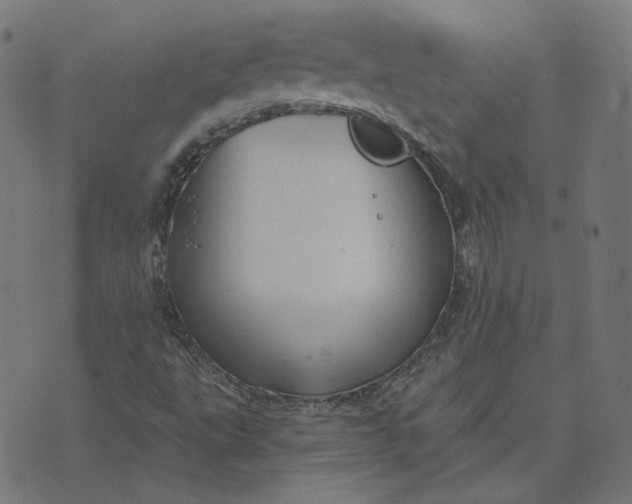 X0000070361495200606231609