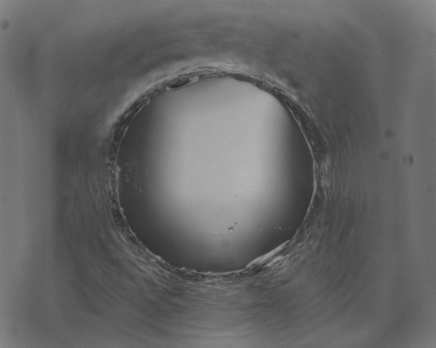 X0000070361496200606231609