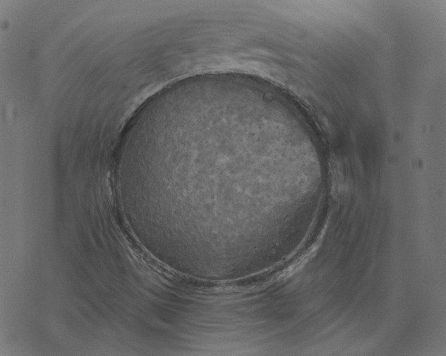 X0000070361497200606231609