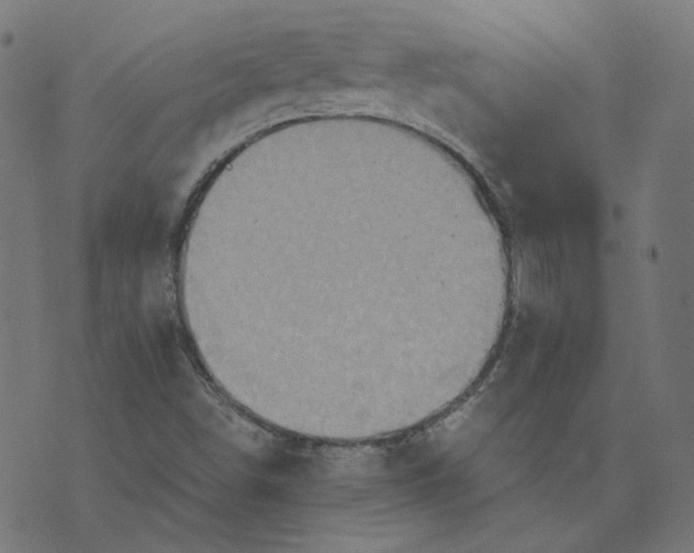 X0000070361498200606231609