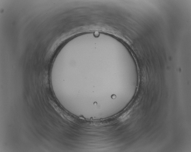 X0000070361499200606231609