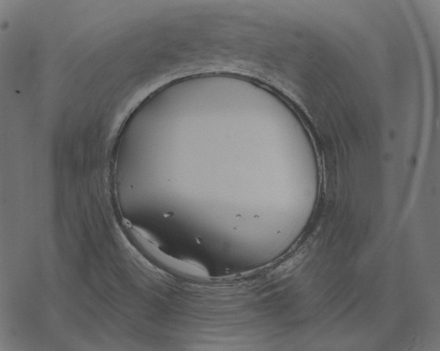 X0000070361500200606231609