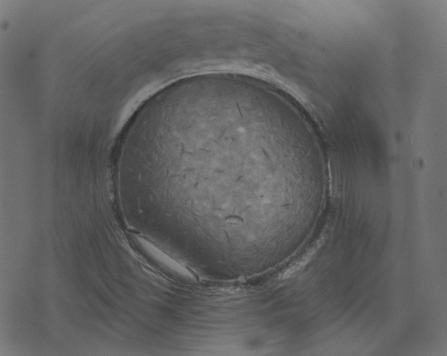 X0000070361501200606231609