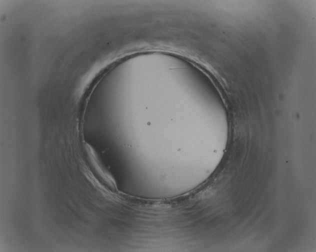 X0000070361503200606231609