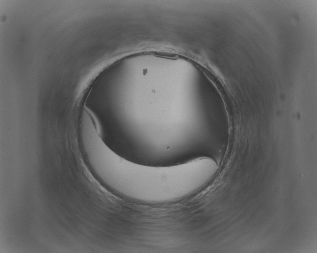 X0000070361504200606231609