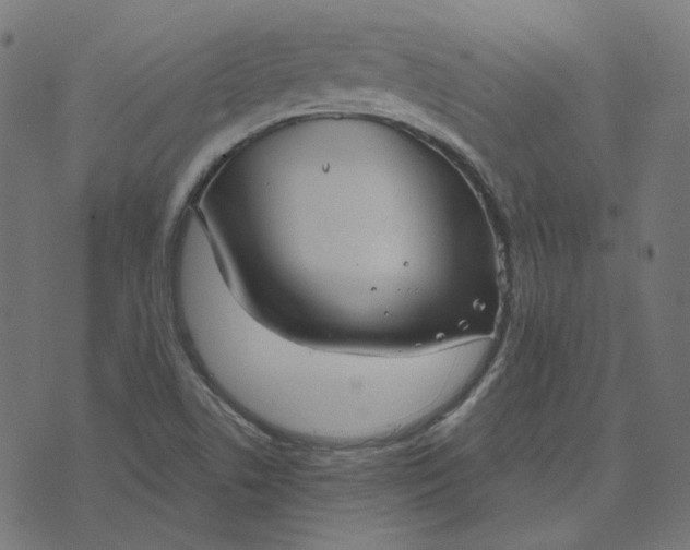 X0000070361506200606231609