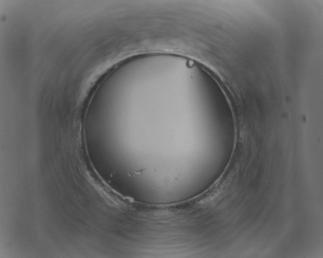 X0000070361507200606231609