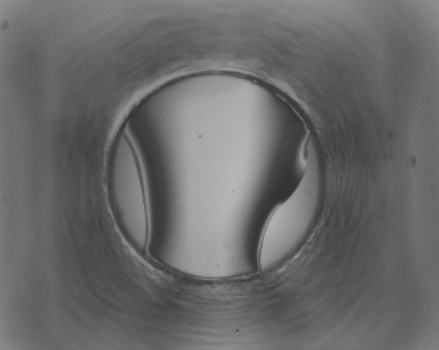 X0000070361508200606231609