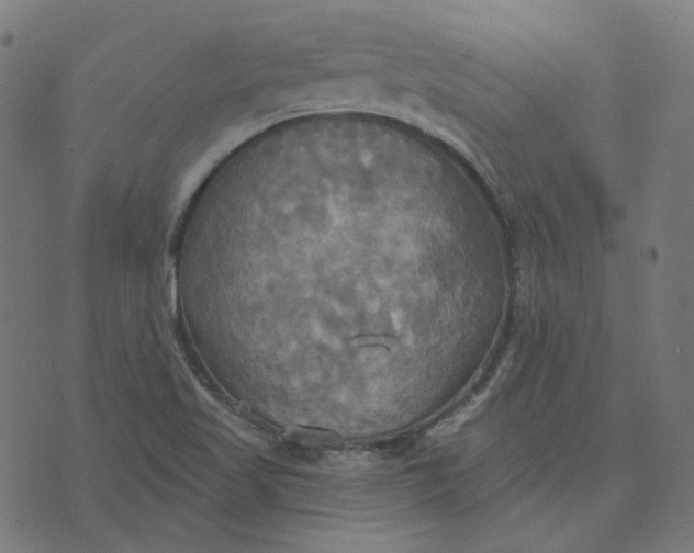 X0000070361509200606231609