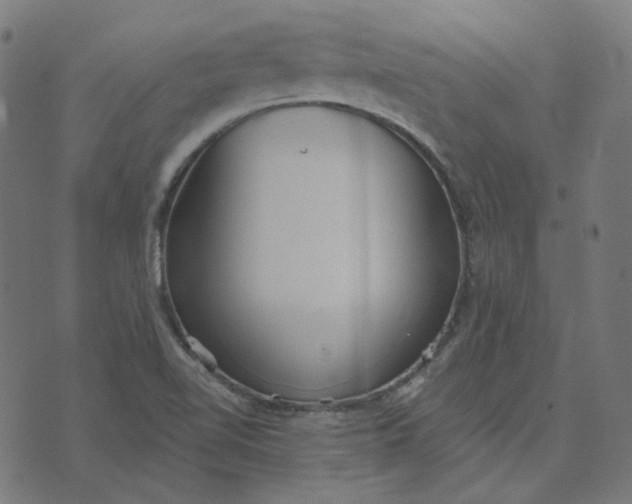 X0000070361510200606231609