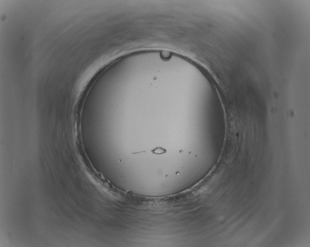 X0000070361511200606231609