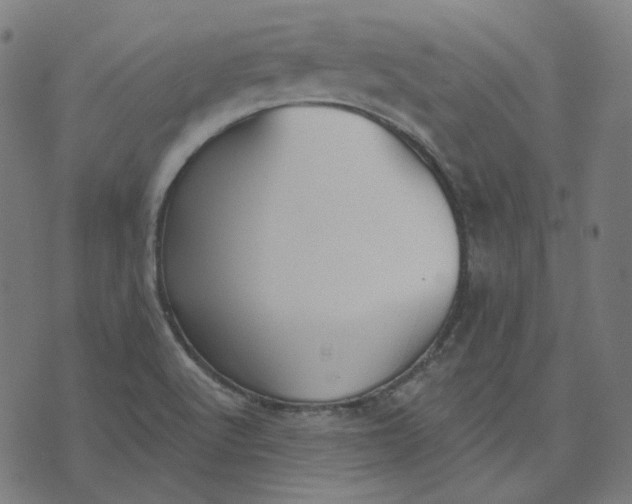 X0000070361512200606231609